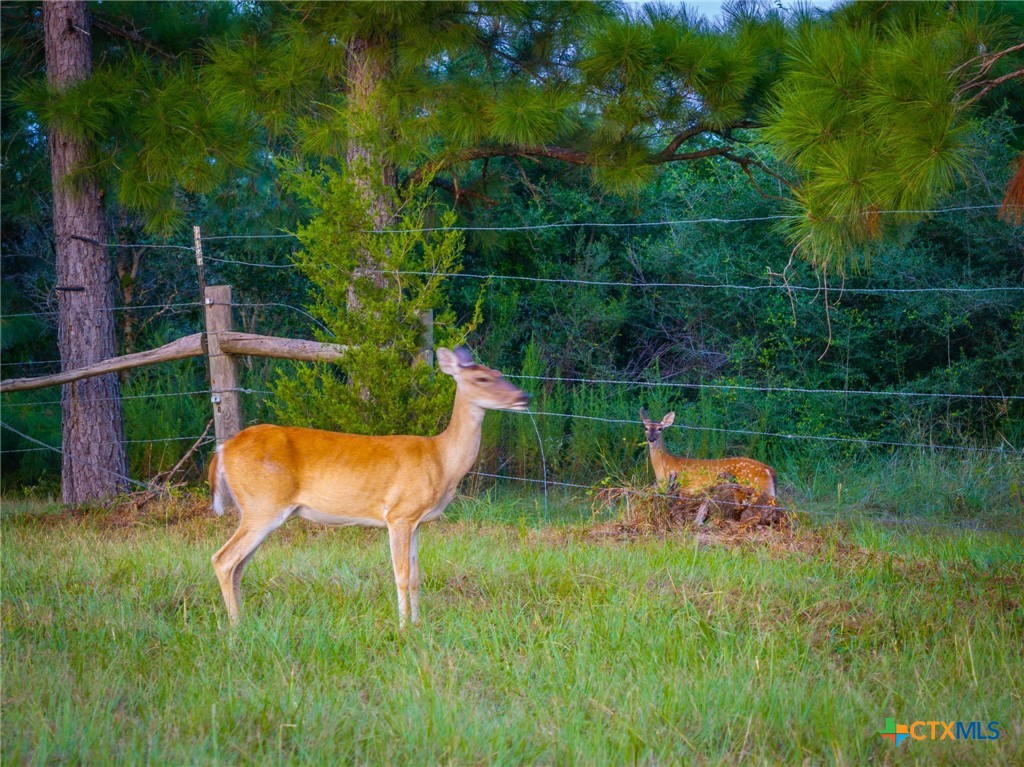 1031 Angel Lake Estates Road