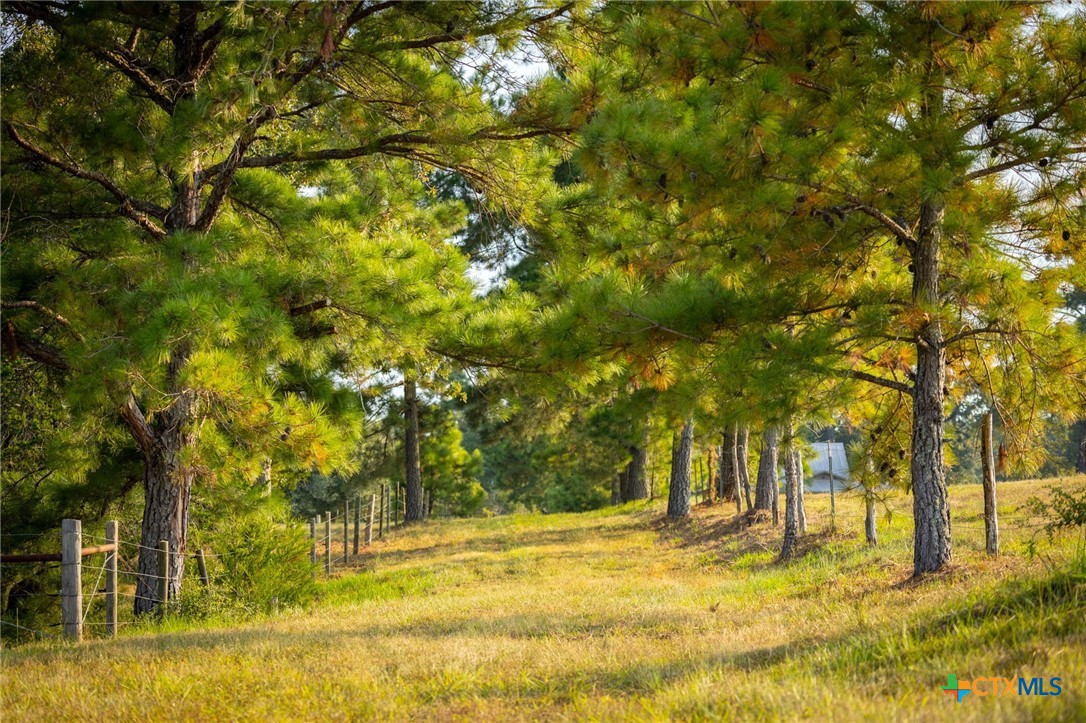 1031 Angel Lake Estates Road