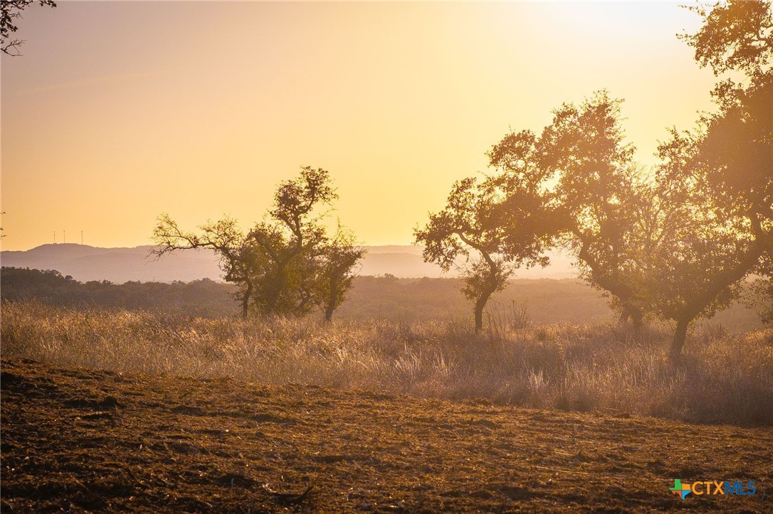 1845 Paradise Parkway