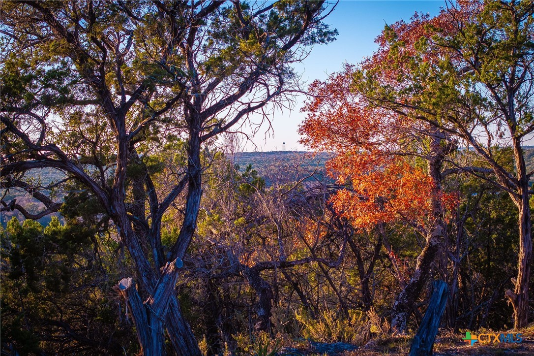 1845 Paradise Parkway