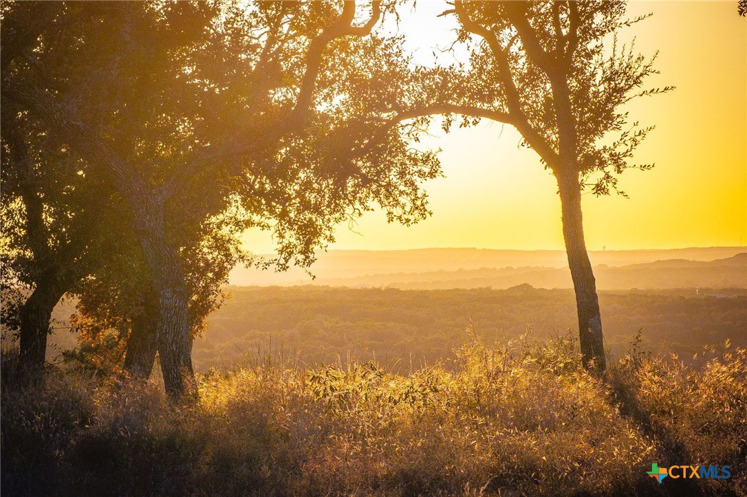 1845 Paradise Parkway