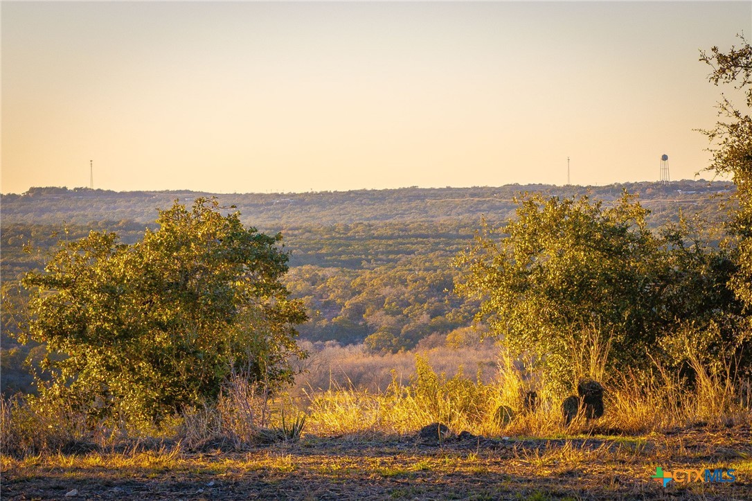 1845 Paradise Parkway