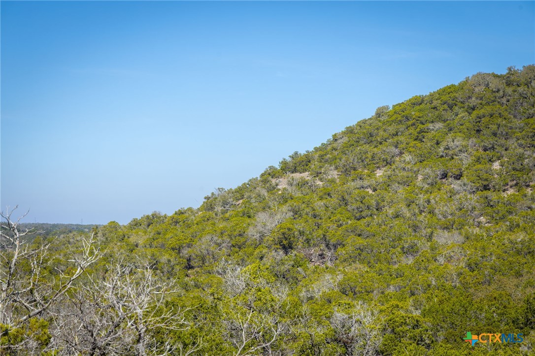 837 Crystal Peak Drive