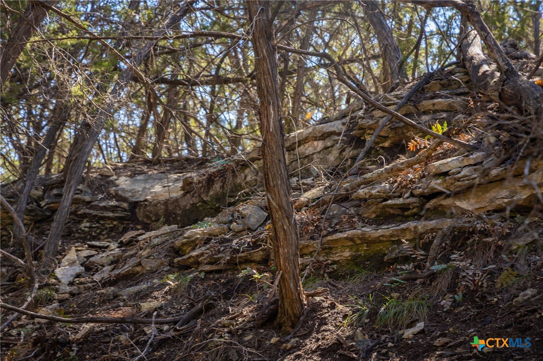 837 Crystal Peak Drive