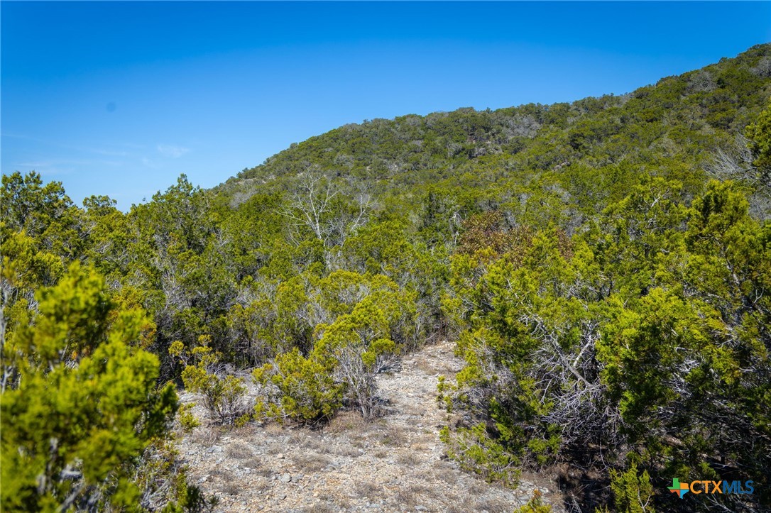 837 Crystal Peak Drive