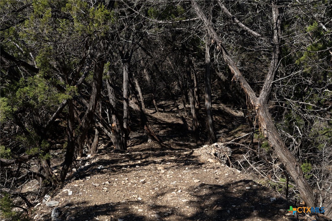 837 Crystal Peak Drive