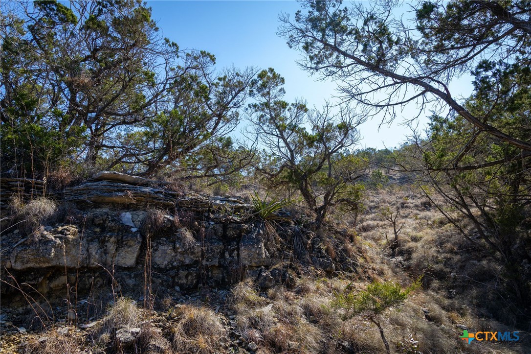 837 Crystal Peak Drive