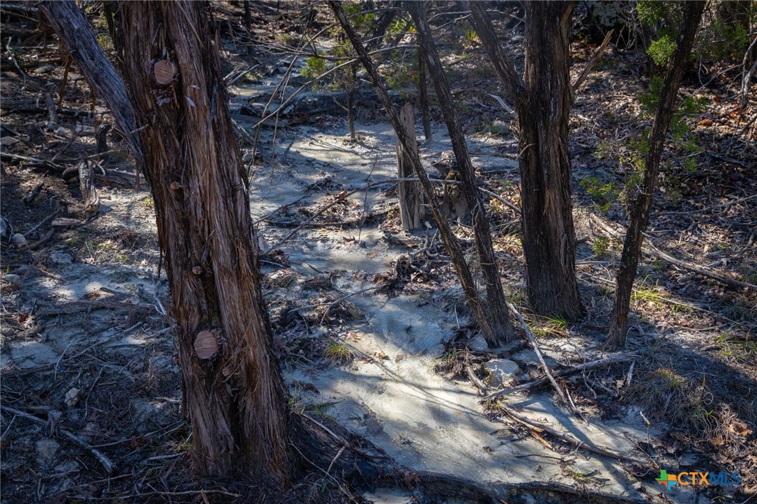 837 Crystal Peak Drive