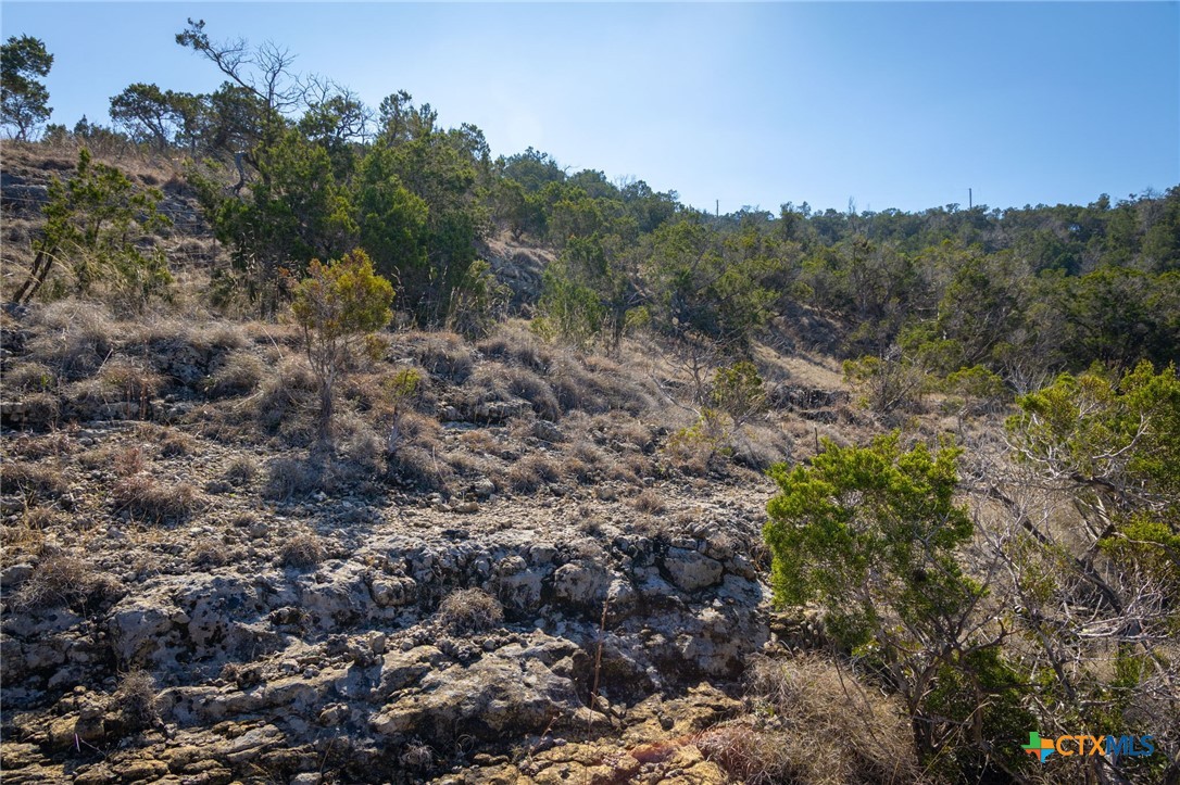 837 Crystal Peak Drive