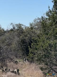 1050 Happy Hollow Drive