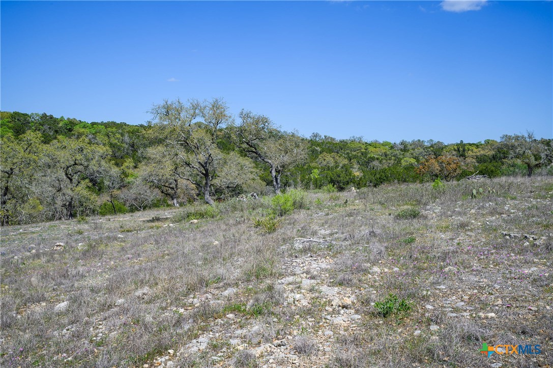 5922 Colin Ridge