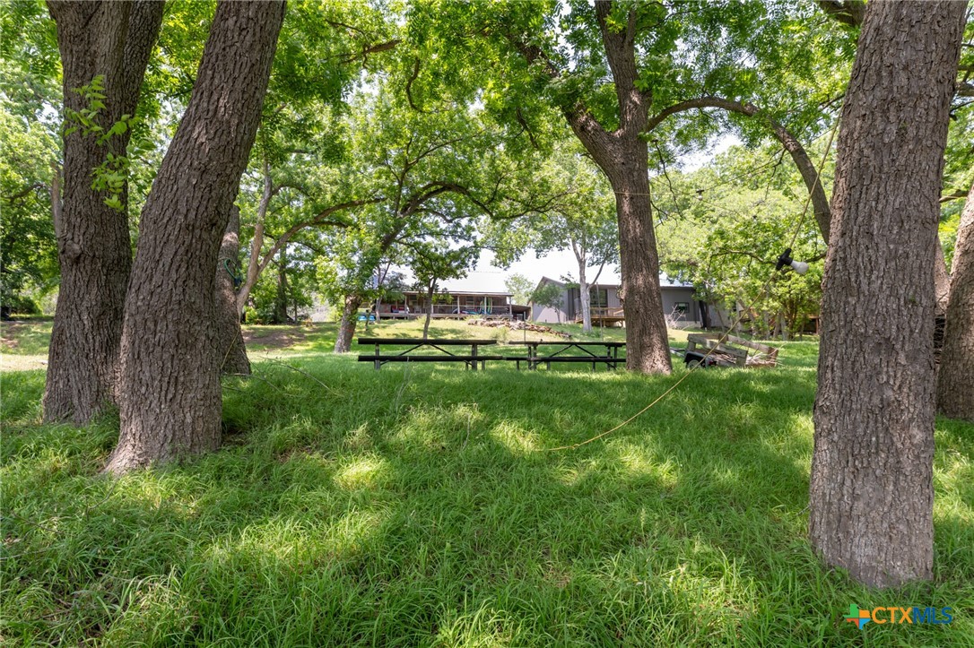 1172 Ponderosa Drive