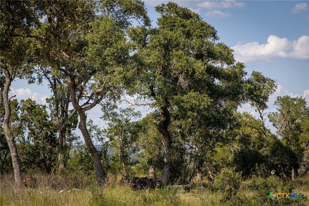 1772 Demi John Bend Road