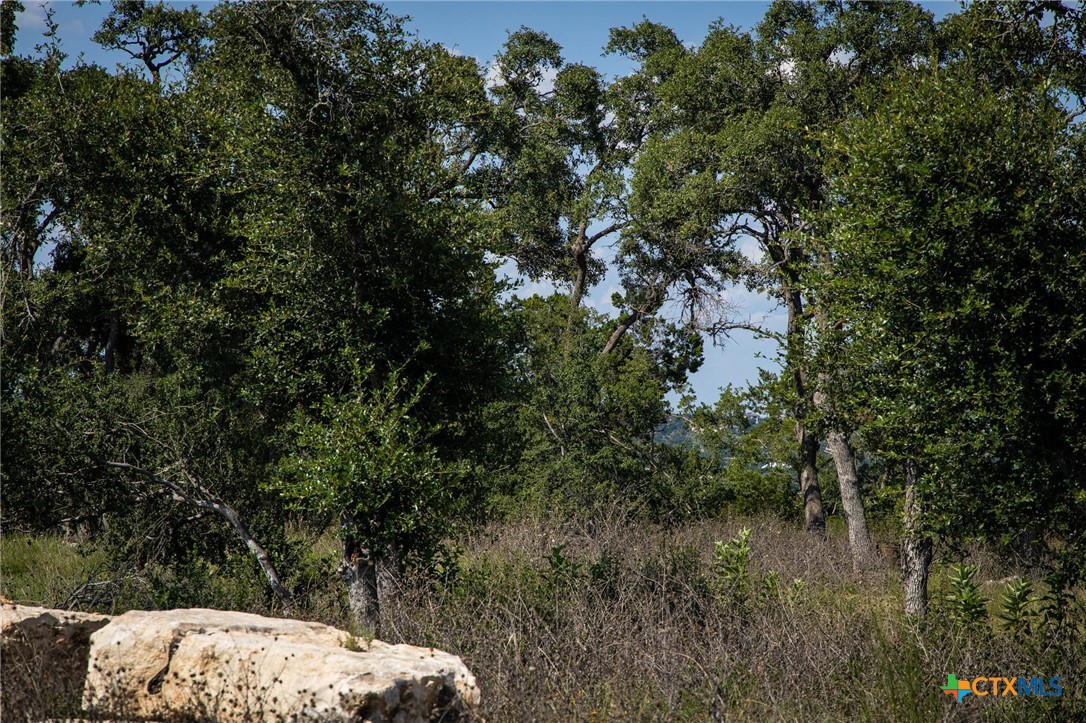 1772 Demi John Bend Road