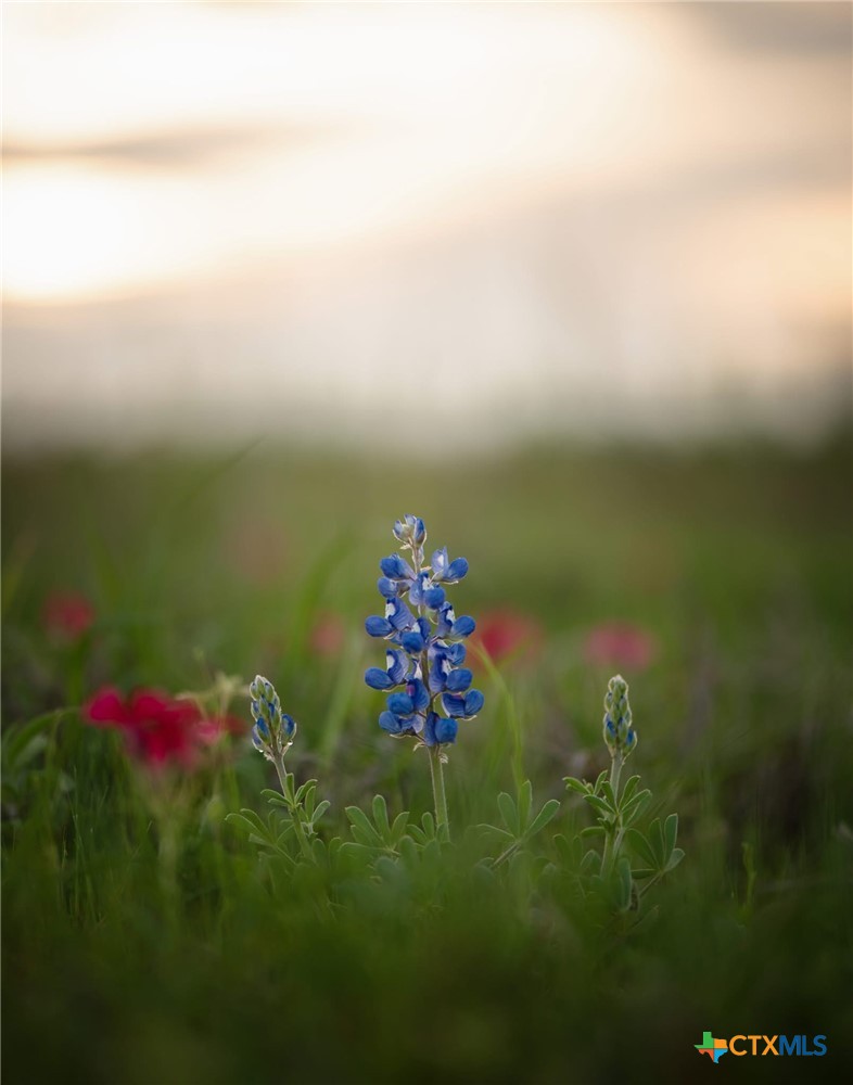 24091 State Highway 80