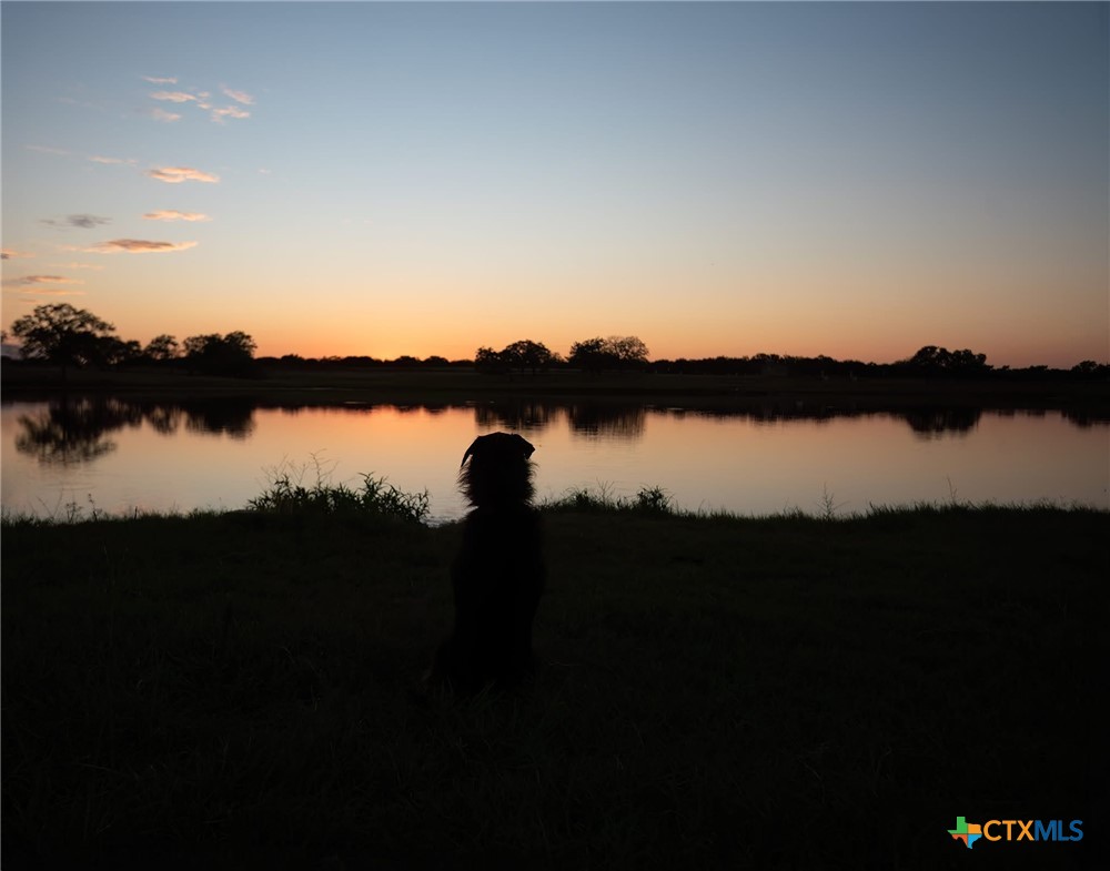 24091 State Highway 80