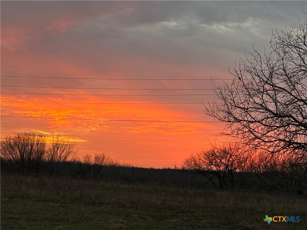 24091 State Highway 80