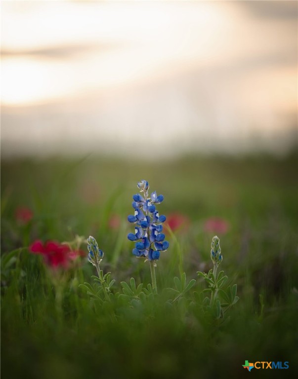 24091 State Highway 80