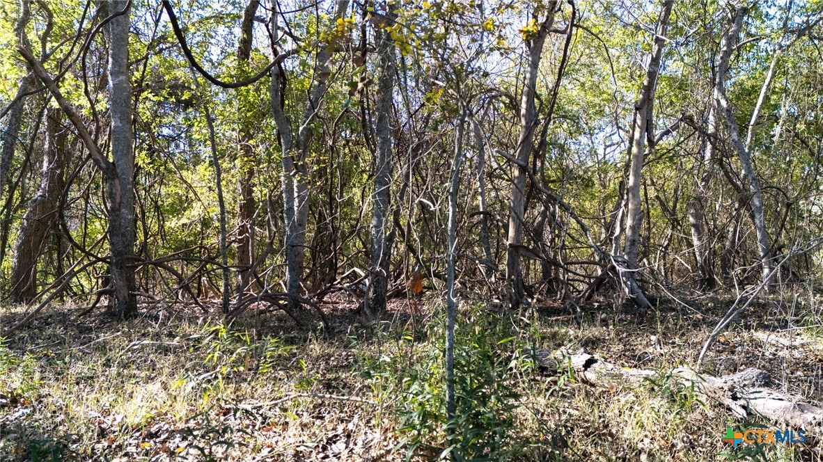 TBD Darst Creek Lane