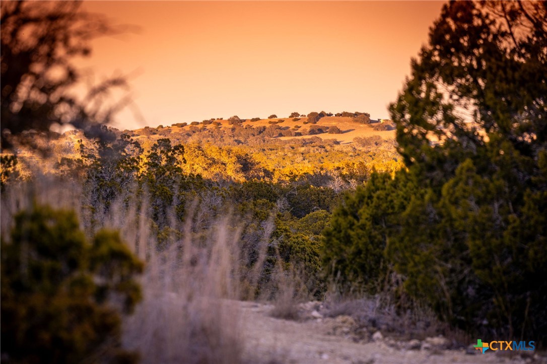 TBD Steitle Road