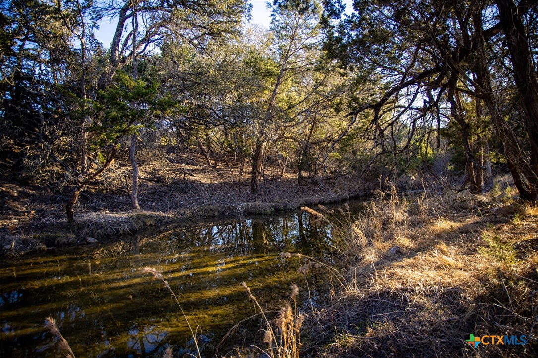 TBD Steitle Road