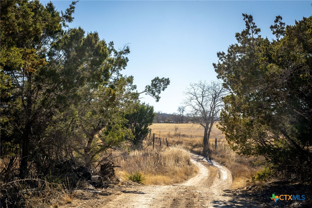 TBD Steitle Road