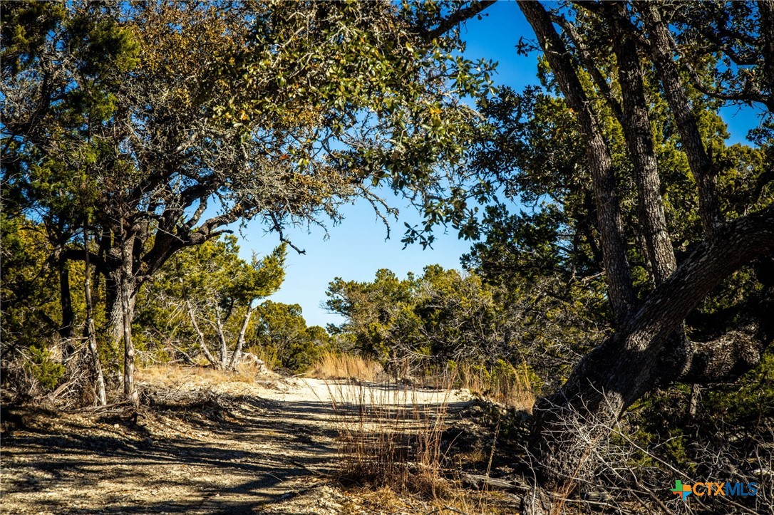 TBD Steitle Road
