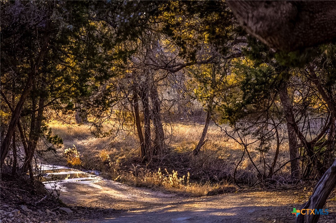 TBD Steitle Road