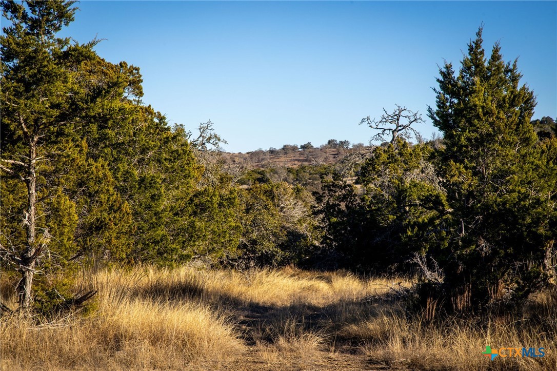 TBD Steitle Road