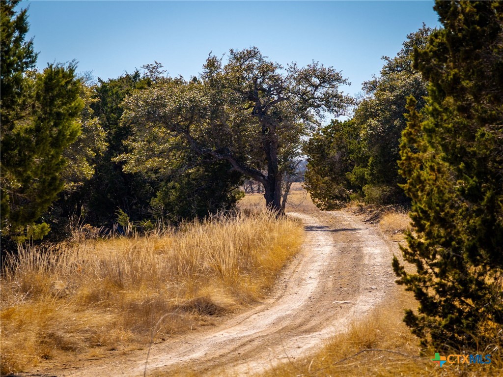 TBD Steitle Road