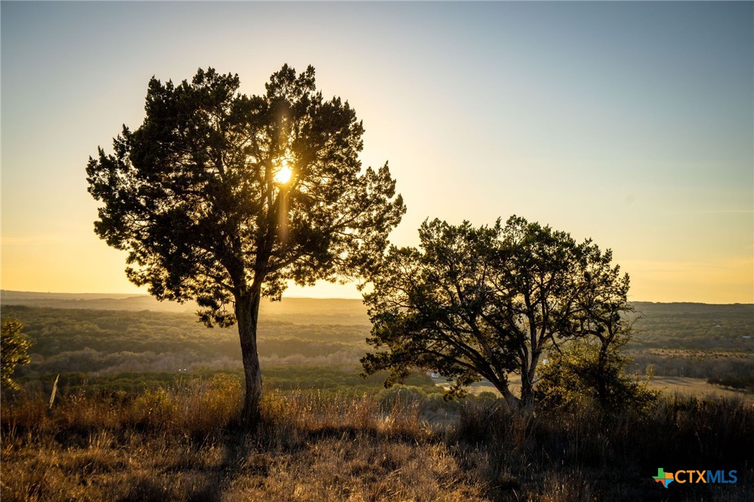 1829 Paradise Parkway