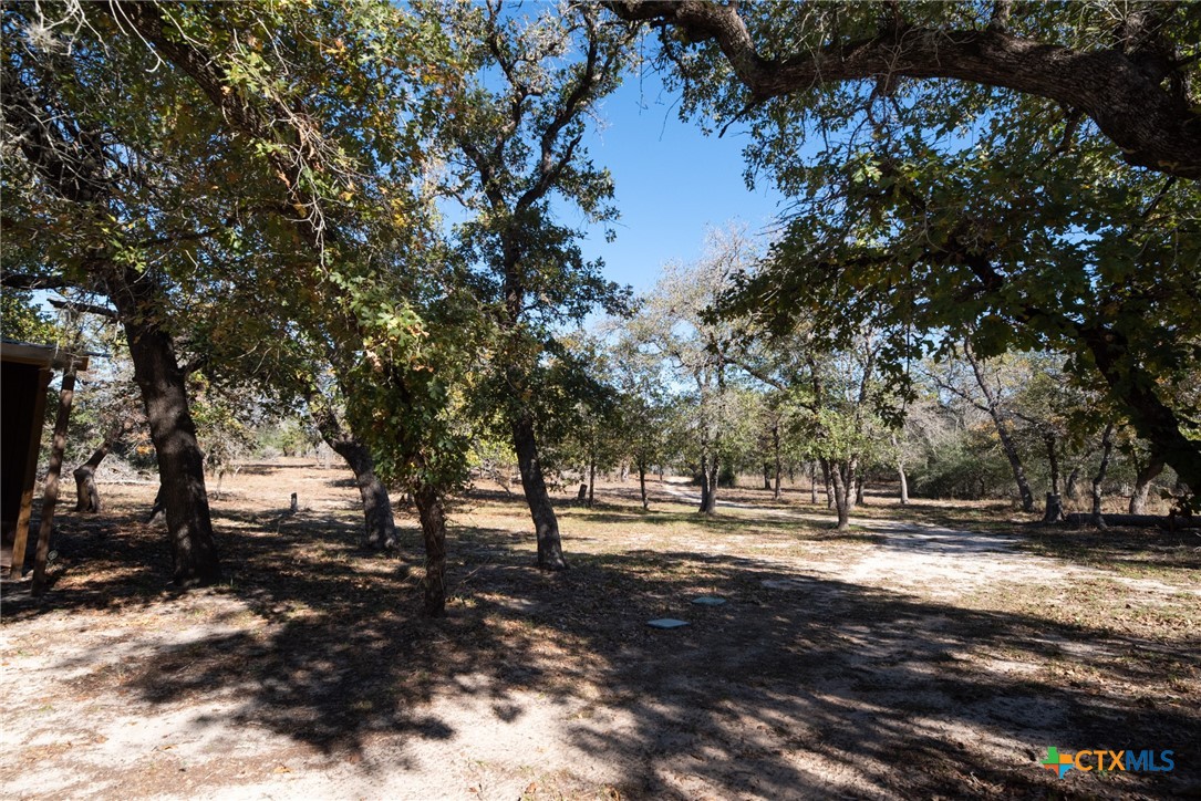 12851 FM 1117