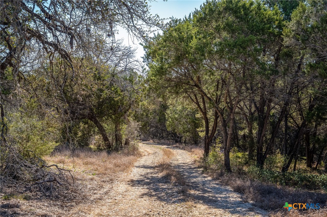 487 Old Bear Creek Road