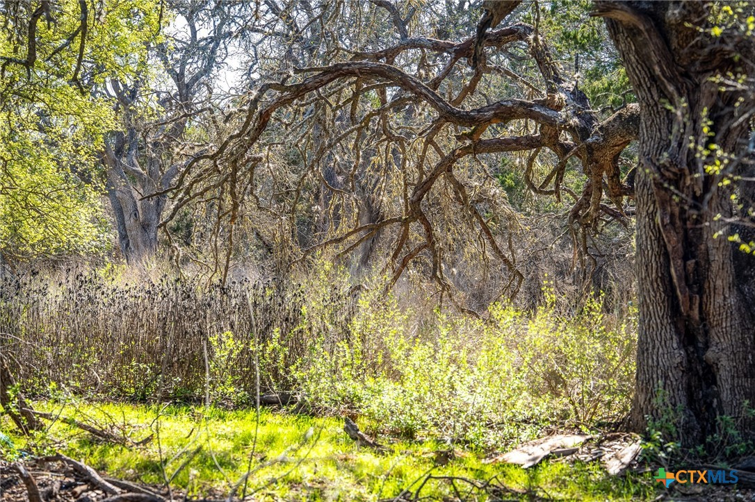 487 Old Bear Creek Road