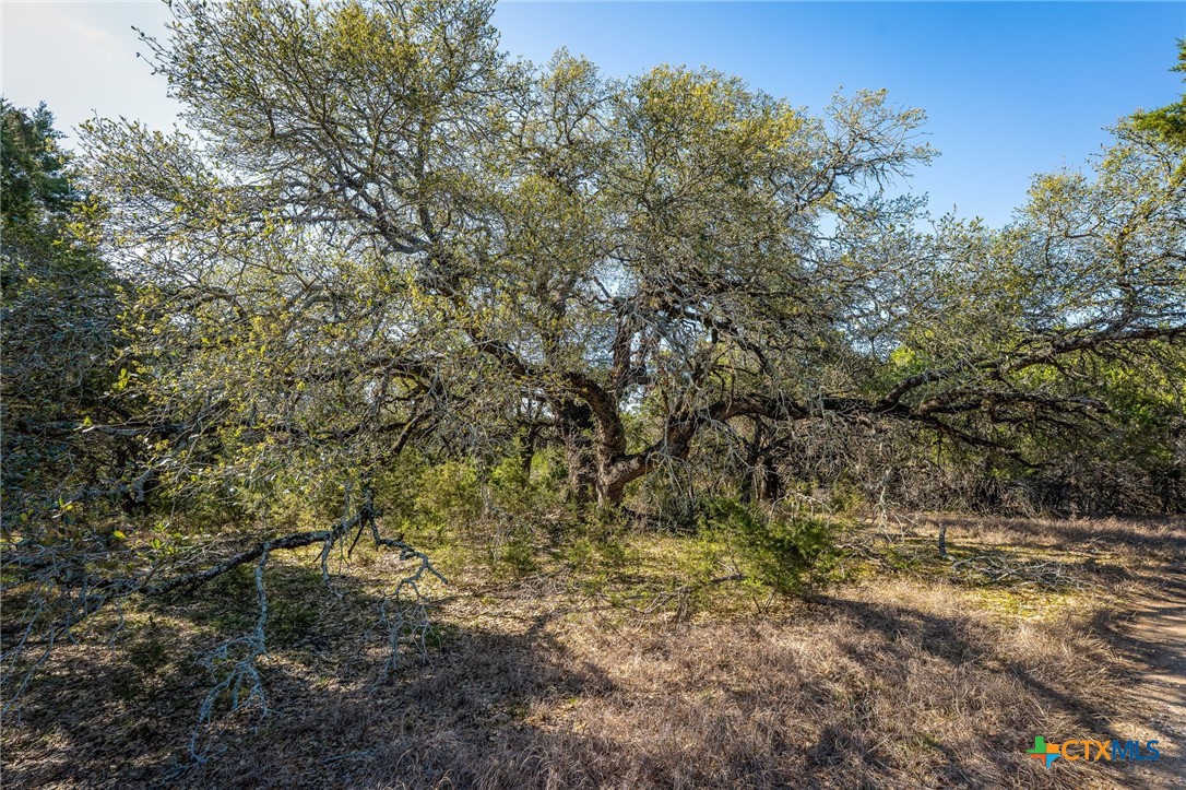 487 Old Bear Creek Road