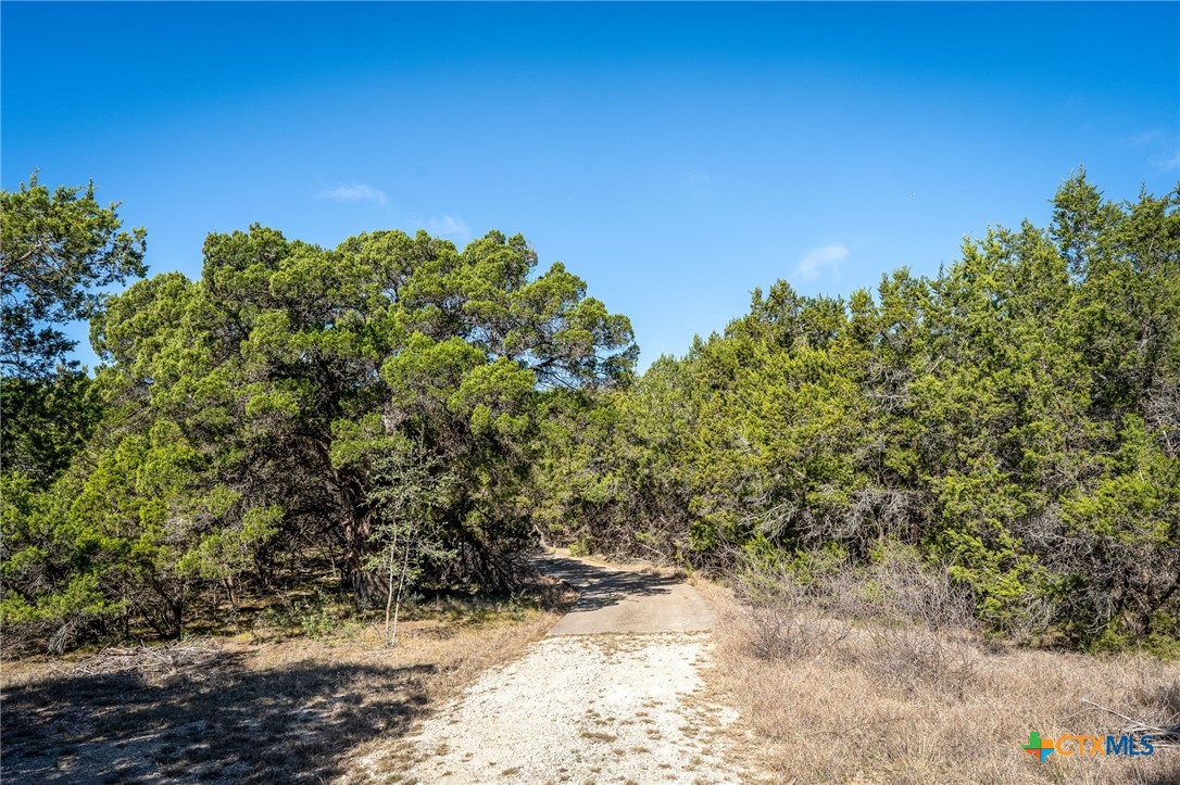 487 Old Bear Creek Road
