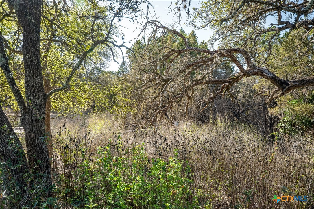 487 Old Bear Creek Road