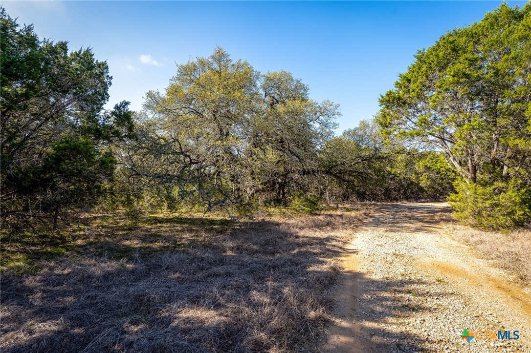 487 Old Bear Creek Road