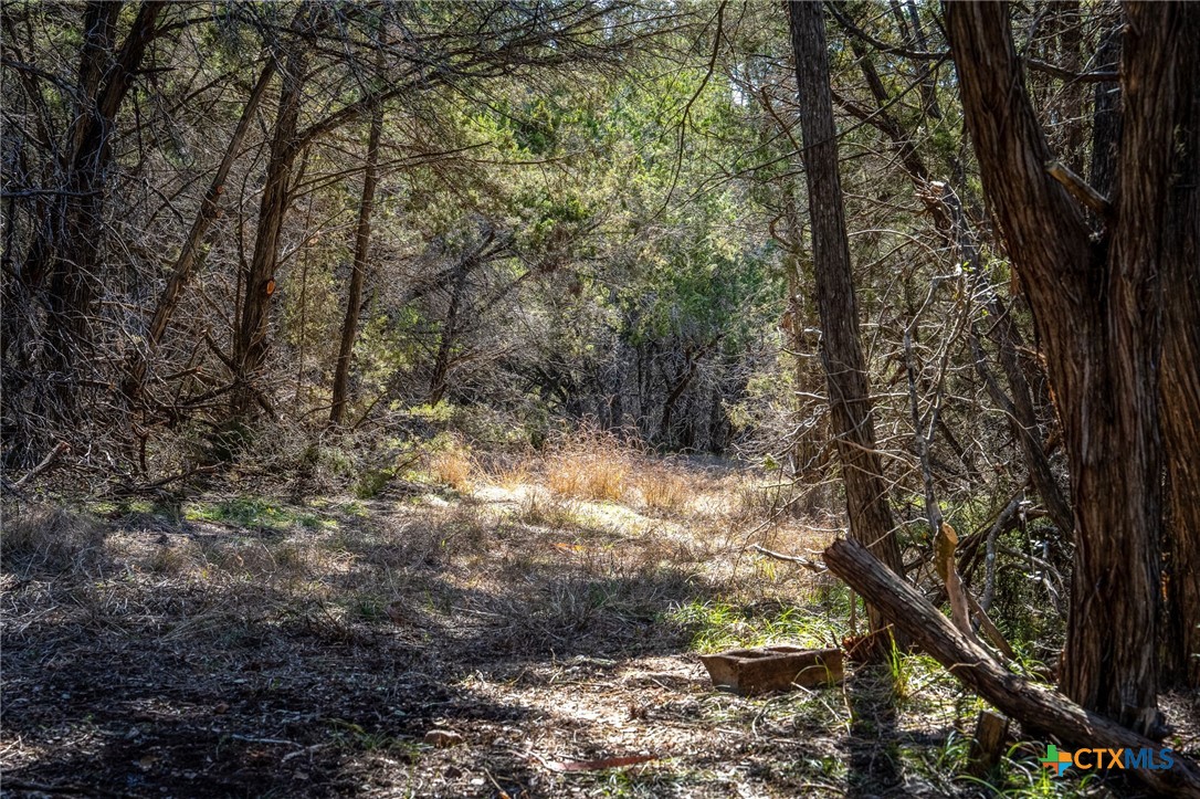 487 Old Bear Creek Road