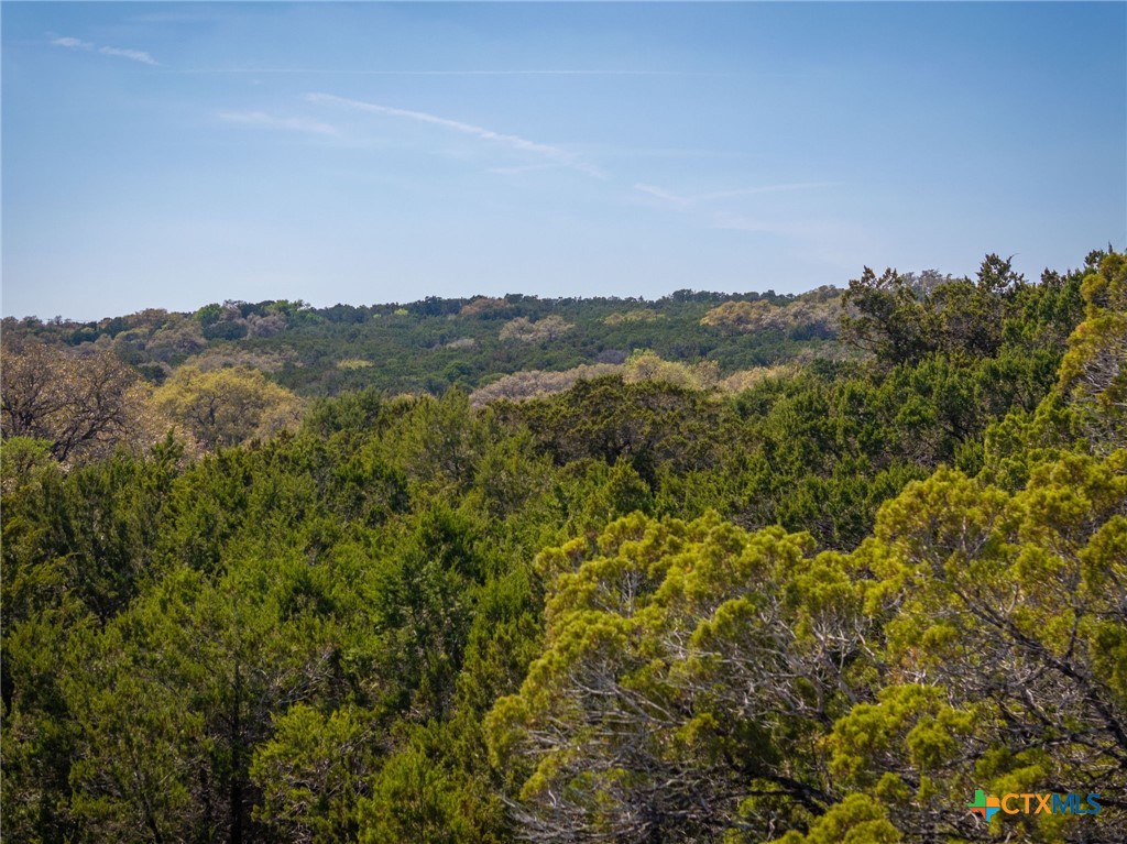 487 Old Bear Creek Road