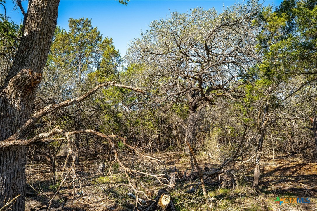 487 Old Bear Creek Road