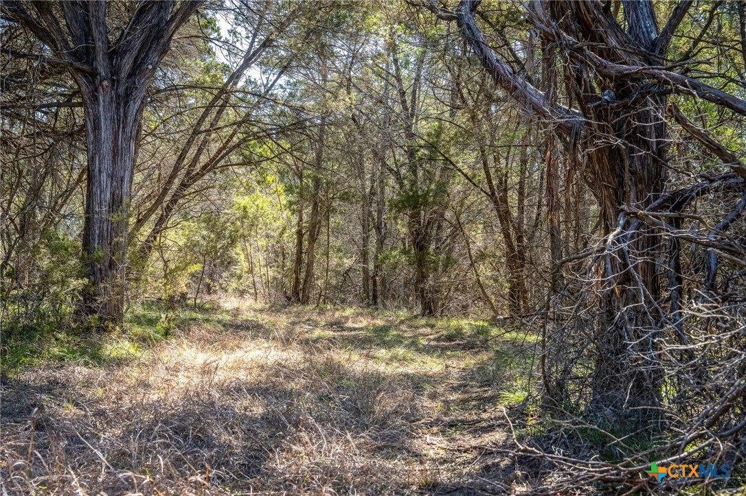 487 Old Bear Creek Road
