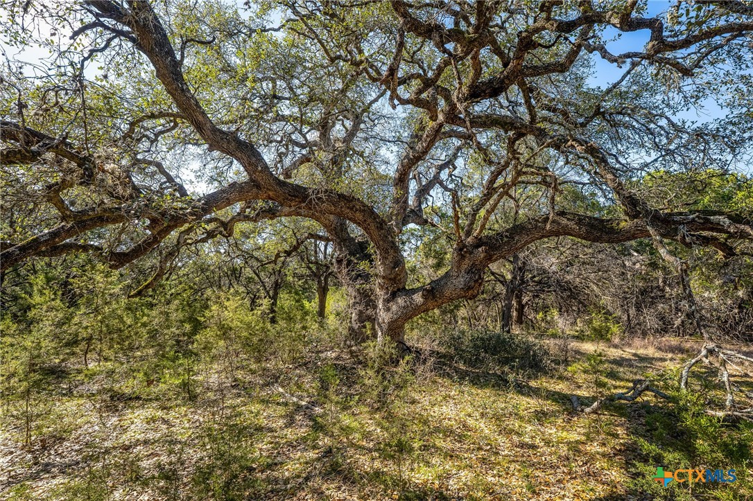 487 Old Bear Creek Road