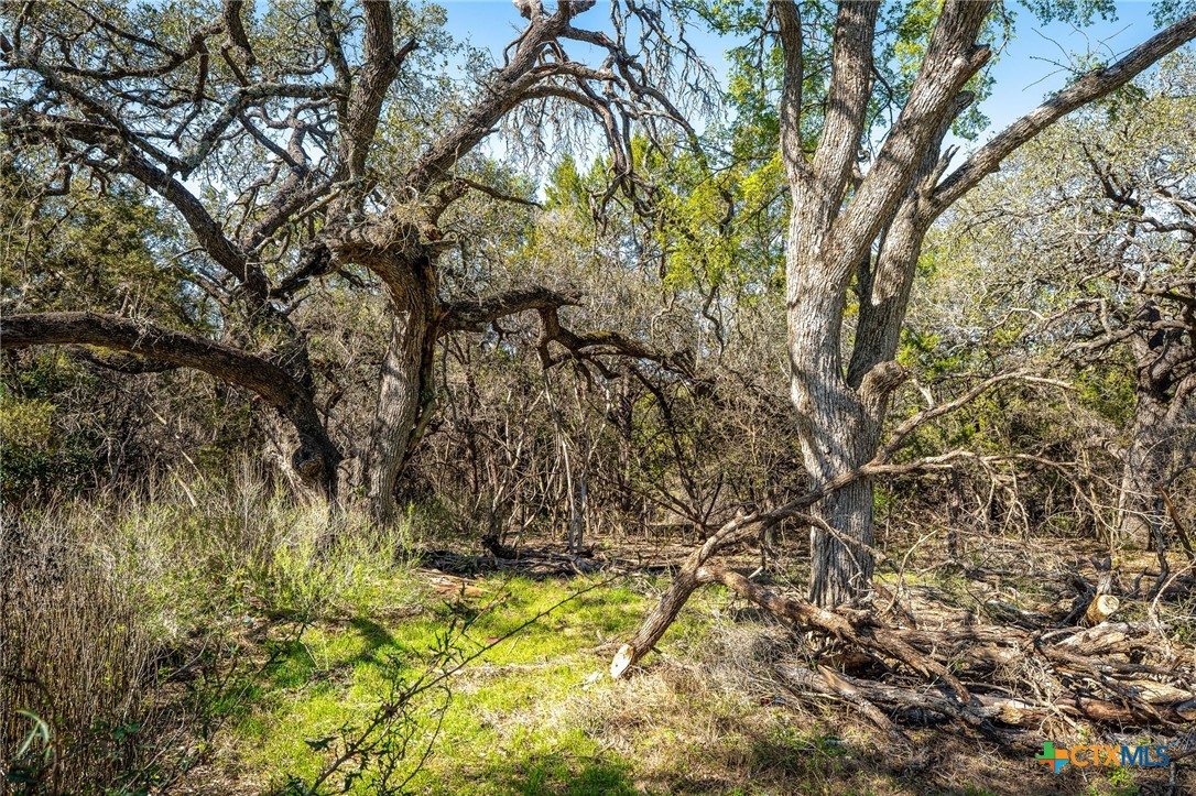 487 Old Bear Creek Road