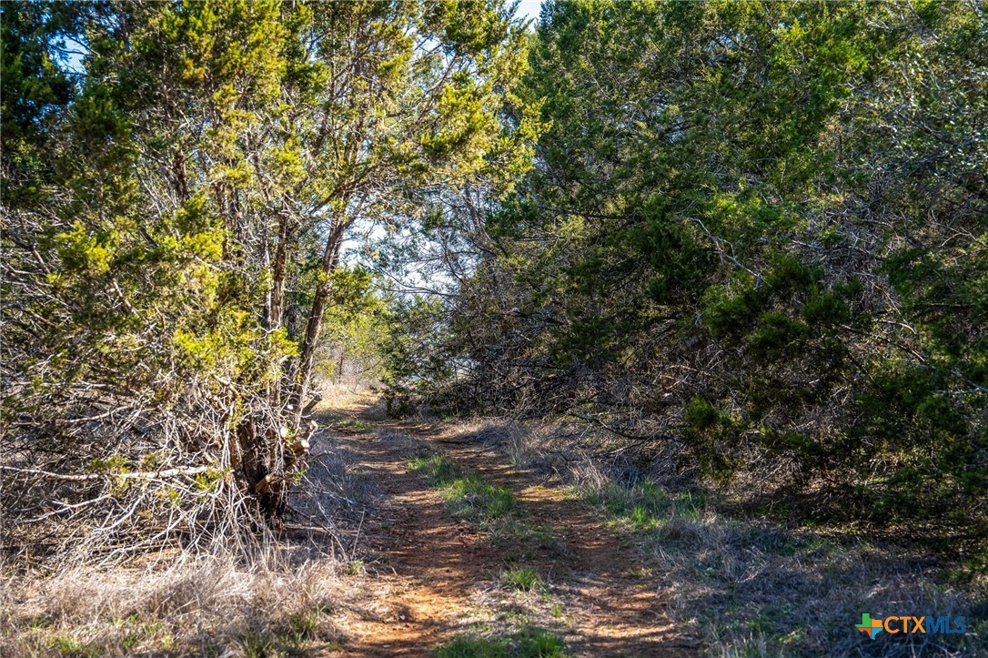 487 Old Bear Creek Road