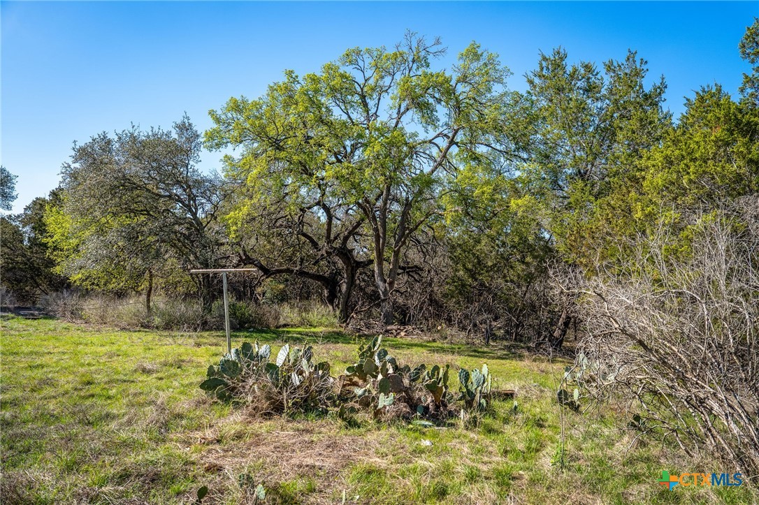 487 Old Bear Creek Road