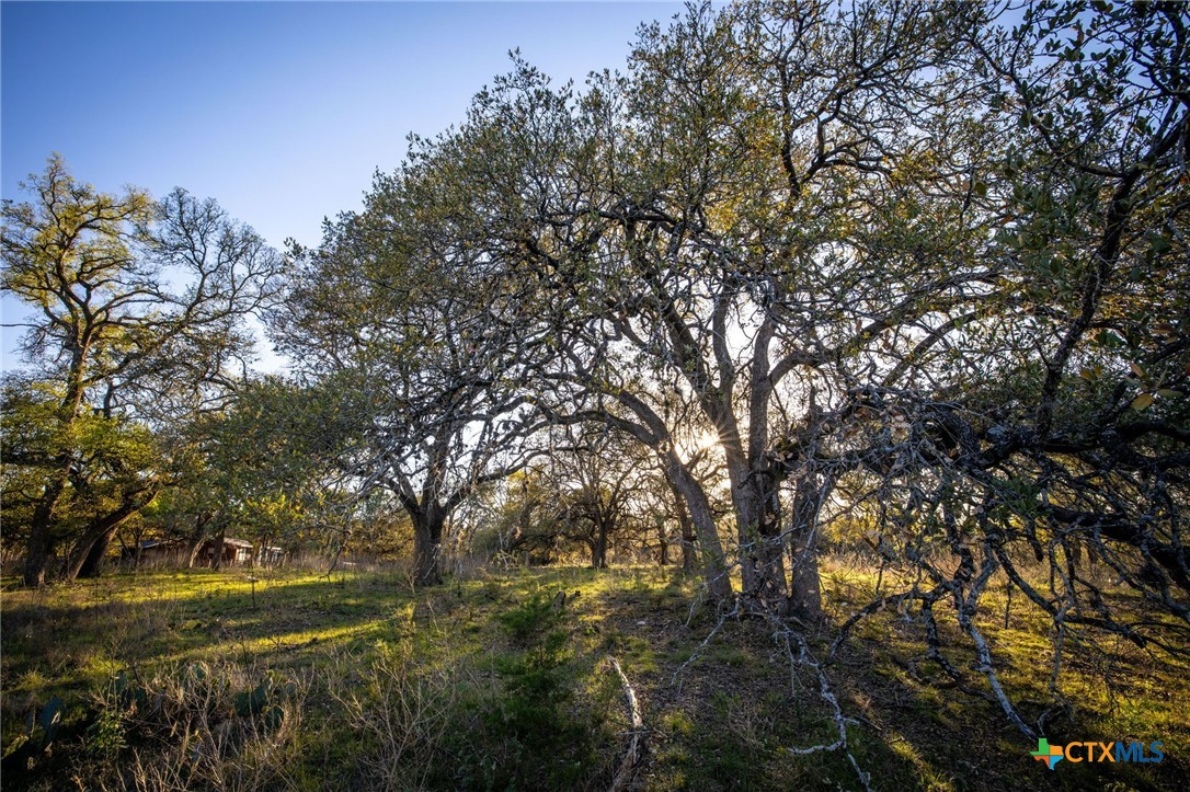 1285 Mission Valley Road