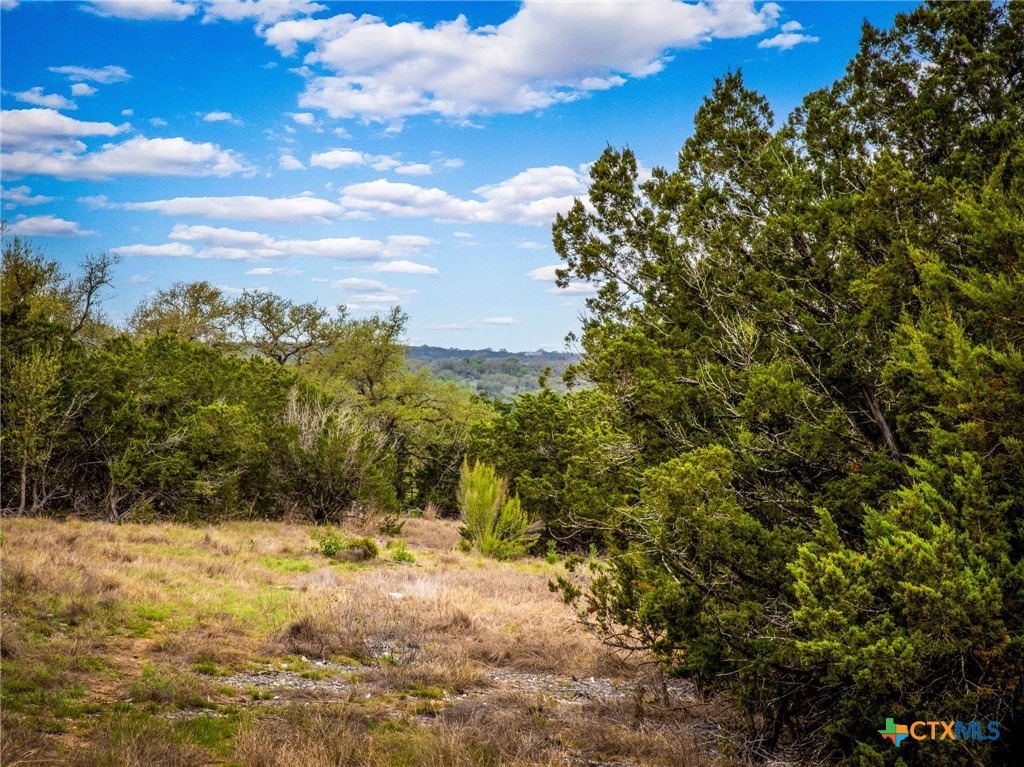 5923 Copper Valley