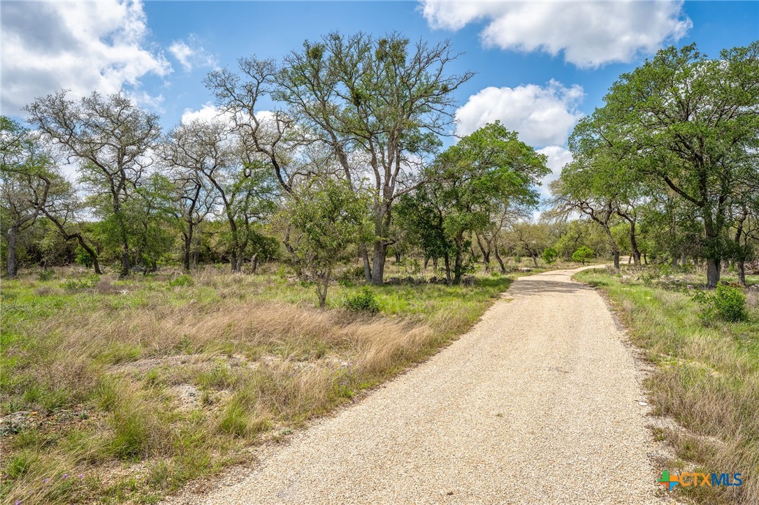377 Buffalo Springs Road