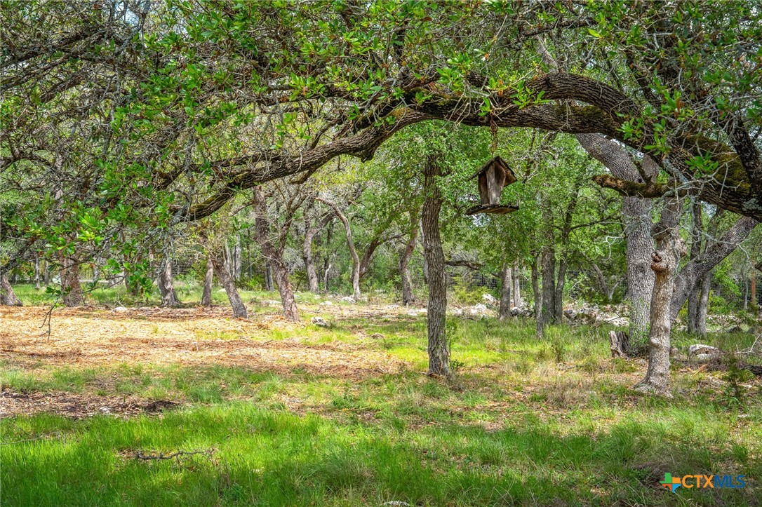377 Buffalo Springs Road